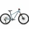 BICICLETA INFANTIL ORBEA LAUFEY 24 H30 2022